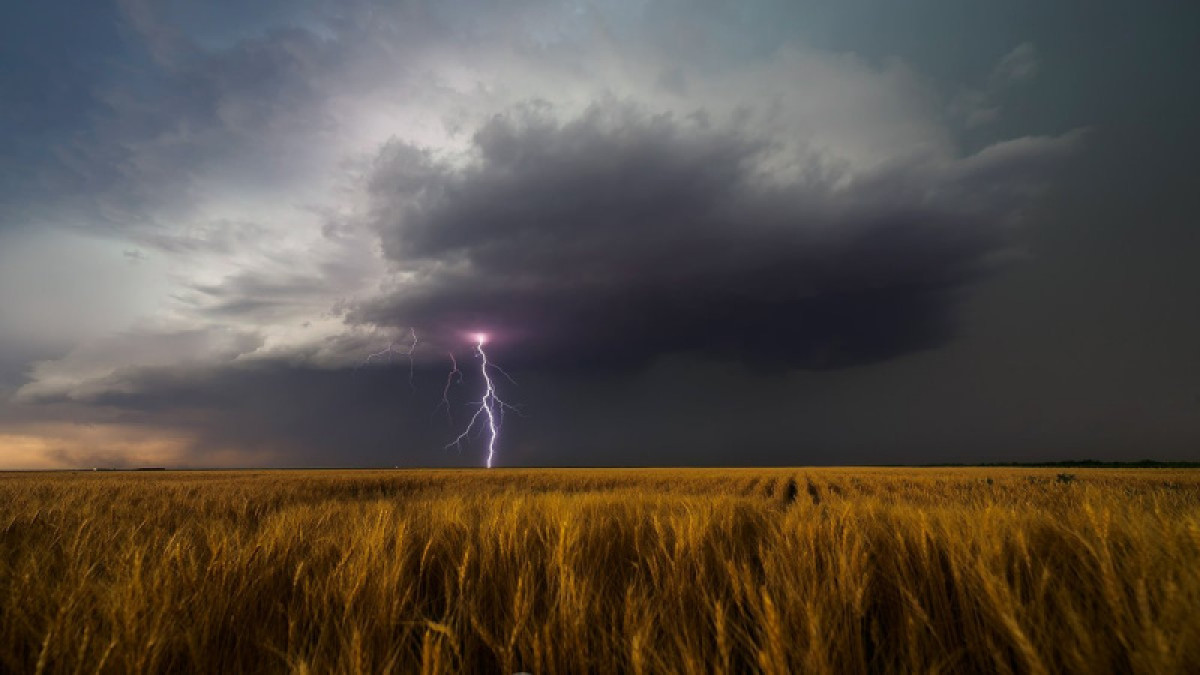 Синоптики рассказали о погоде в Казахстане 24 июля