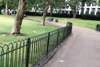 Фотография к новости: Абдрахимов представил видео-доказательство, что шымкентский дендропарк чище лондонского