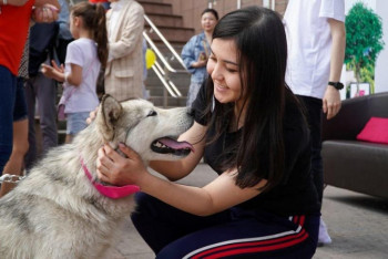 В столице пройдет ярмарка бездомных собак и кошек