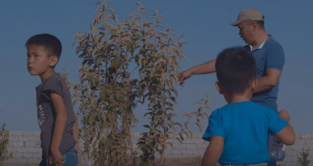 из открытых источников