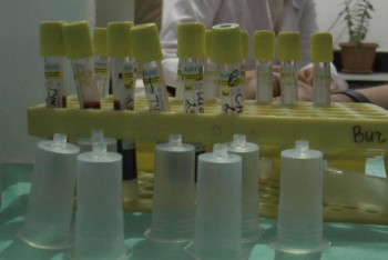 Полиция Алматы к борьбе с проституцией привлекла медработников.