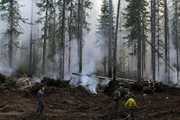 Фотография к новости: Дым от лесных пожаров в Сибири дошел до Татарстана 