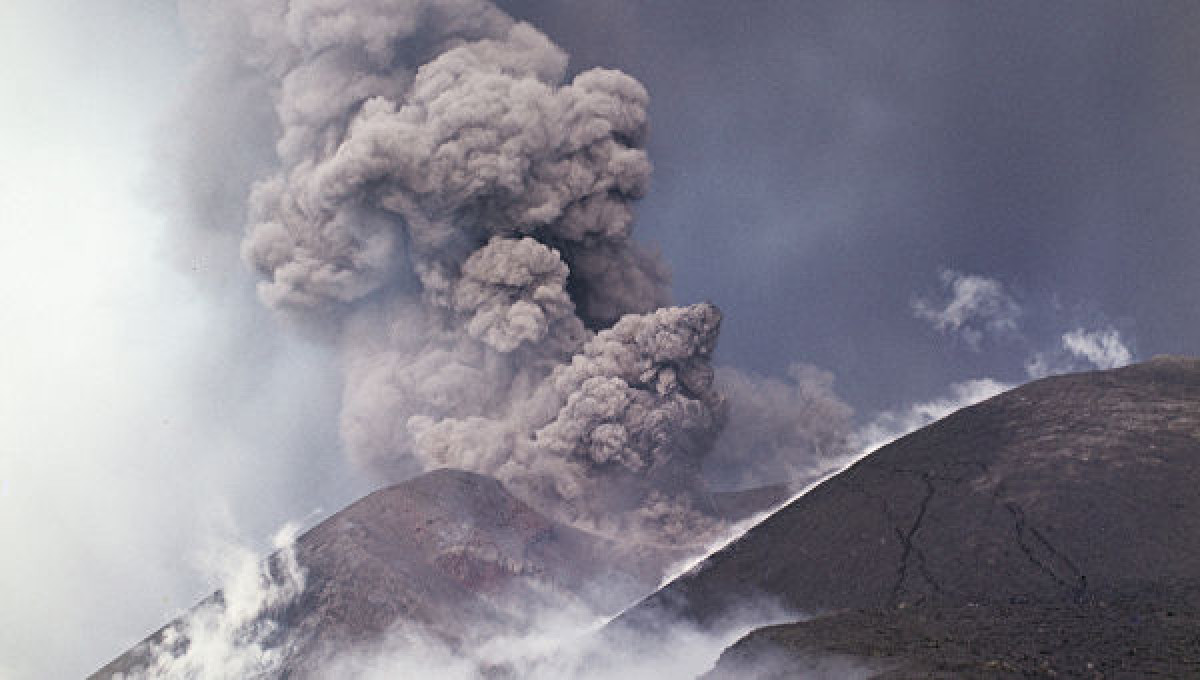 иллюстративное 