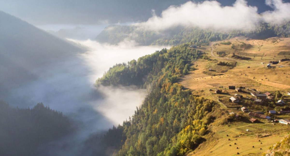 из открытых источников