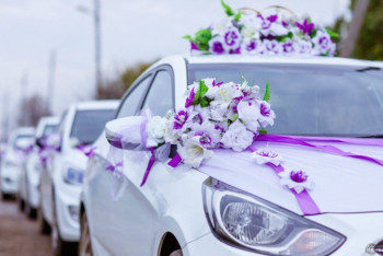 Фотография к новости: Очередных любителей двигаться задним ходом наказали в Алматы