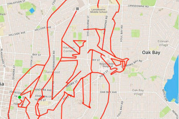 Фотография к новости: Велосипедные маршруты для казахстанцев  появились на Яндекс.Картах 