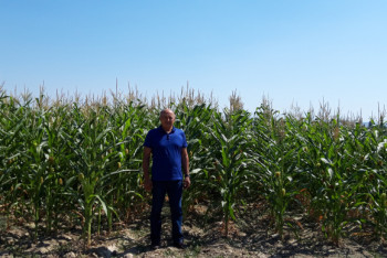 Фотография к новости: В Жамбылской области фермеров учили выращивать кукурузу с прибылью