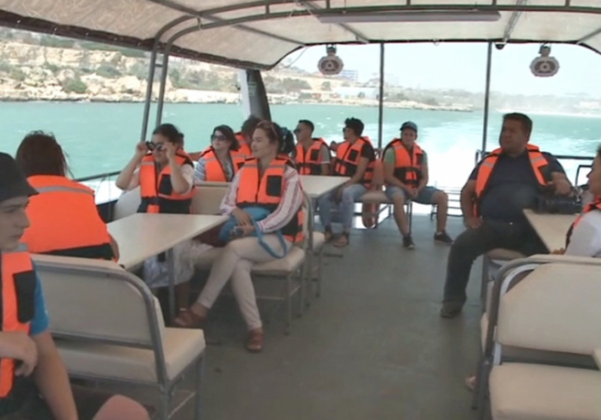 из открытых источников