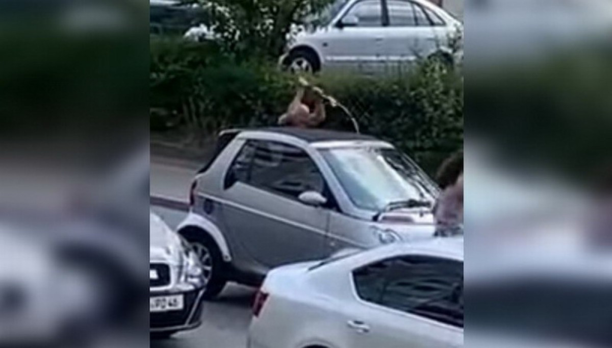 скриншот из видео