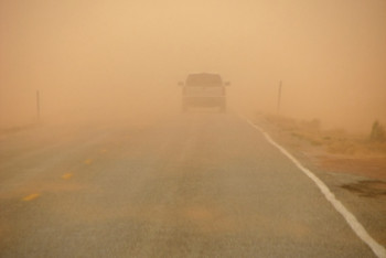 Фотография к новости: Фейком оказалось видео о летних морозах в Атырауской области