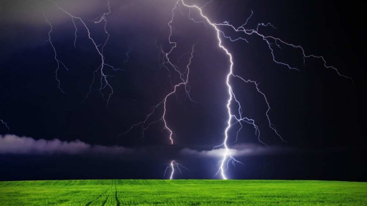 иллюстративное 