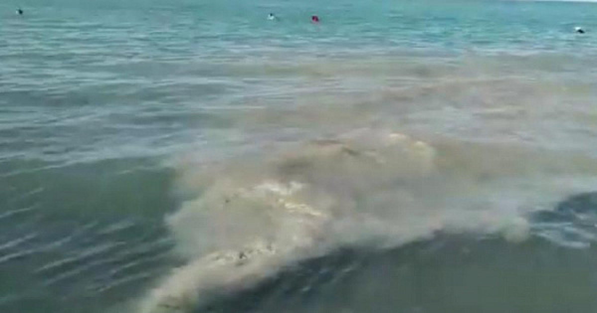 Что обнаружили в грязной воде  Алаколя