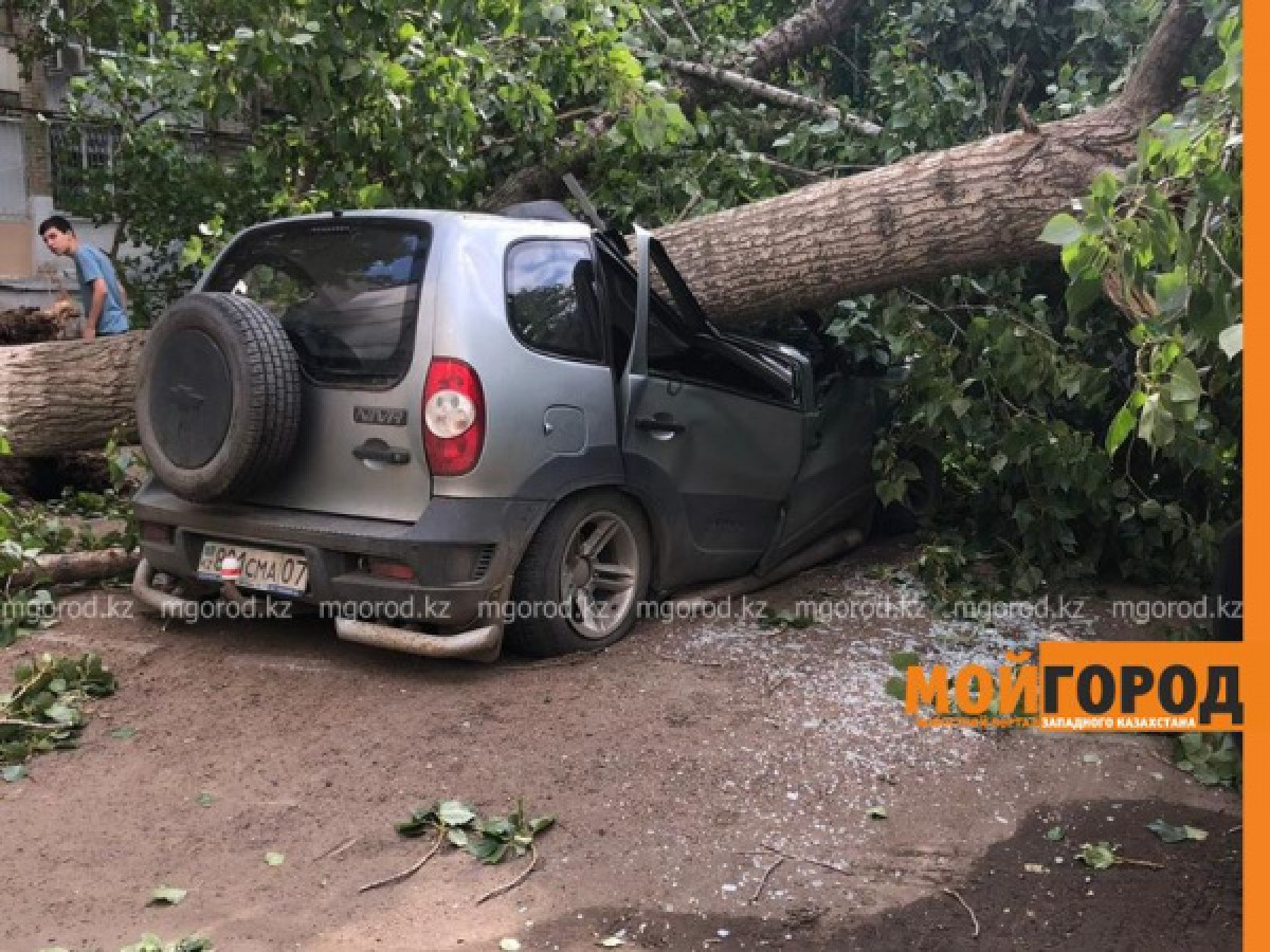Ураганный ветер в ЗКО повалил деревья, разбил автомобили и сорвал кровлю школ