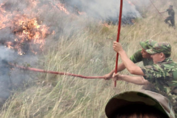 Фотография к новости: Три человека погибли при тушении степного пожара в Алматинской области 