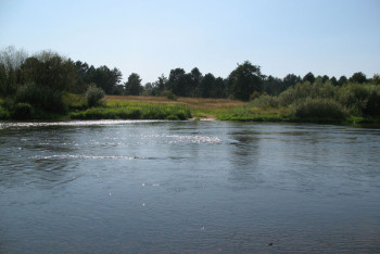 Фотография к новости: В реке Есиль обнаружено тело без вести пропавшего  29-летнего петропавловца