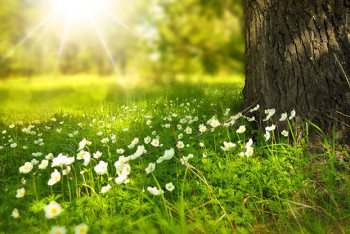 Фотография к новости: 10 июля погода на большей территории РК будет ясной  