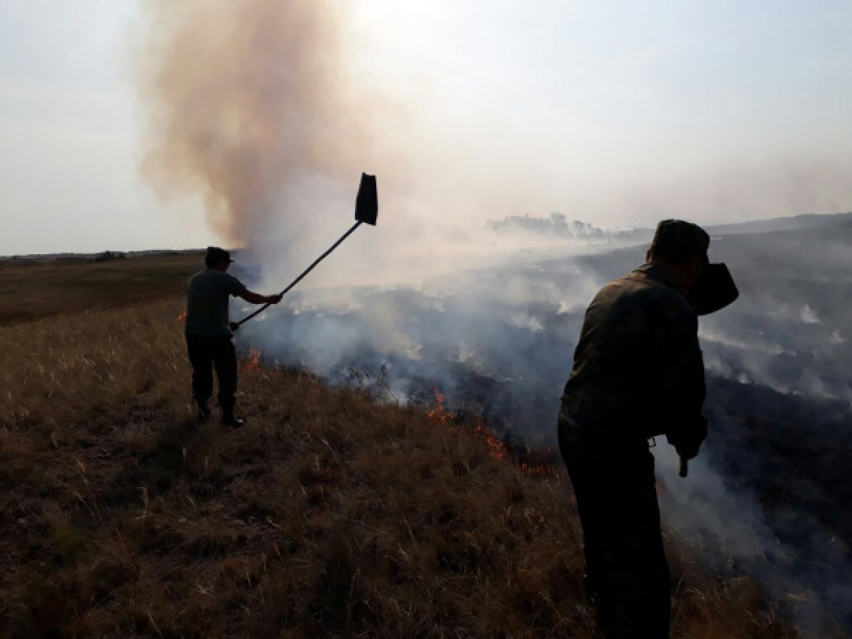 ДЧС Акмолинской области