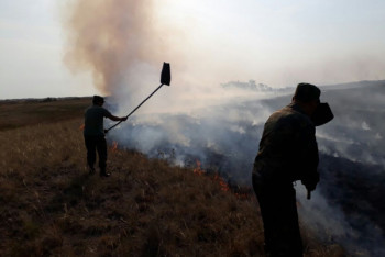 Фотография к новости: Более 200 человек тушат степной пожар в Акмолинской области