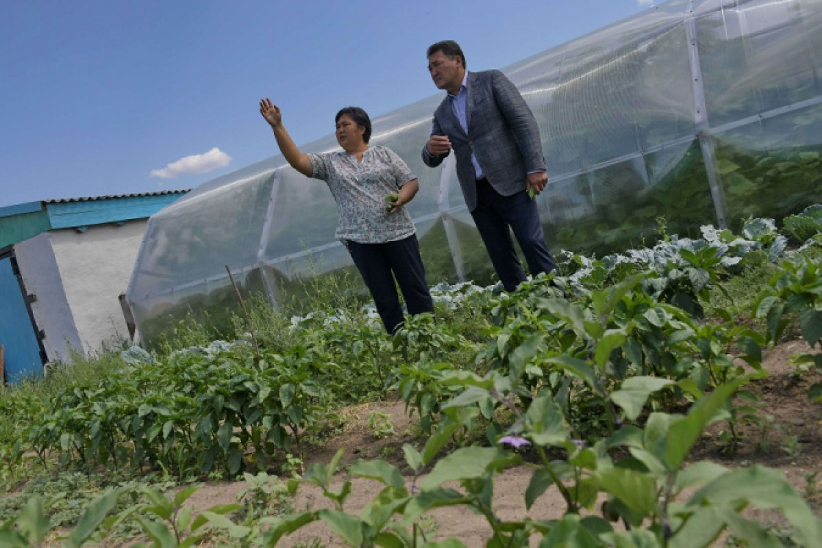Сельчане Павлодарской области занялись строительством теплиц