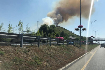 Фотография к новости: В Алматы тушат пожар на склоне Кок-Тобе