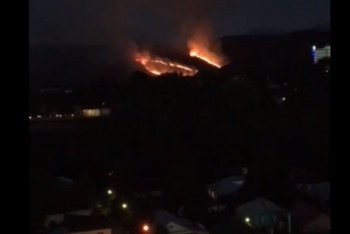 Фотография к новости: После пожара на склоне Кок-Тобе снова загорелся сухостой