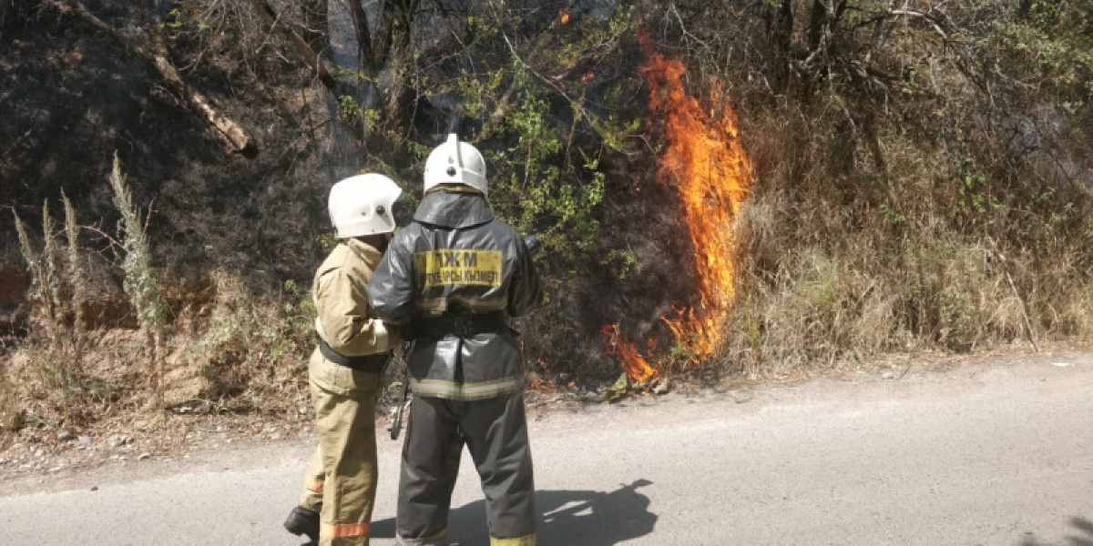 Пожар в Медеуском районе Алматы ликвидирован  