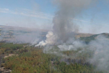 Фотография к новости: Сумма ущерба от лесного пожара в Баянауле превысила 95 млн тенге 