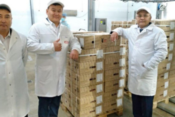 Фотография к новости: Казахстанскую говядину экспортируют в Китай из Актюбинской области