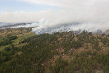 Фотография к новости: Появилось видео лесного пожара в Нацпарке в Карагандинской области