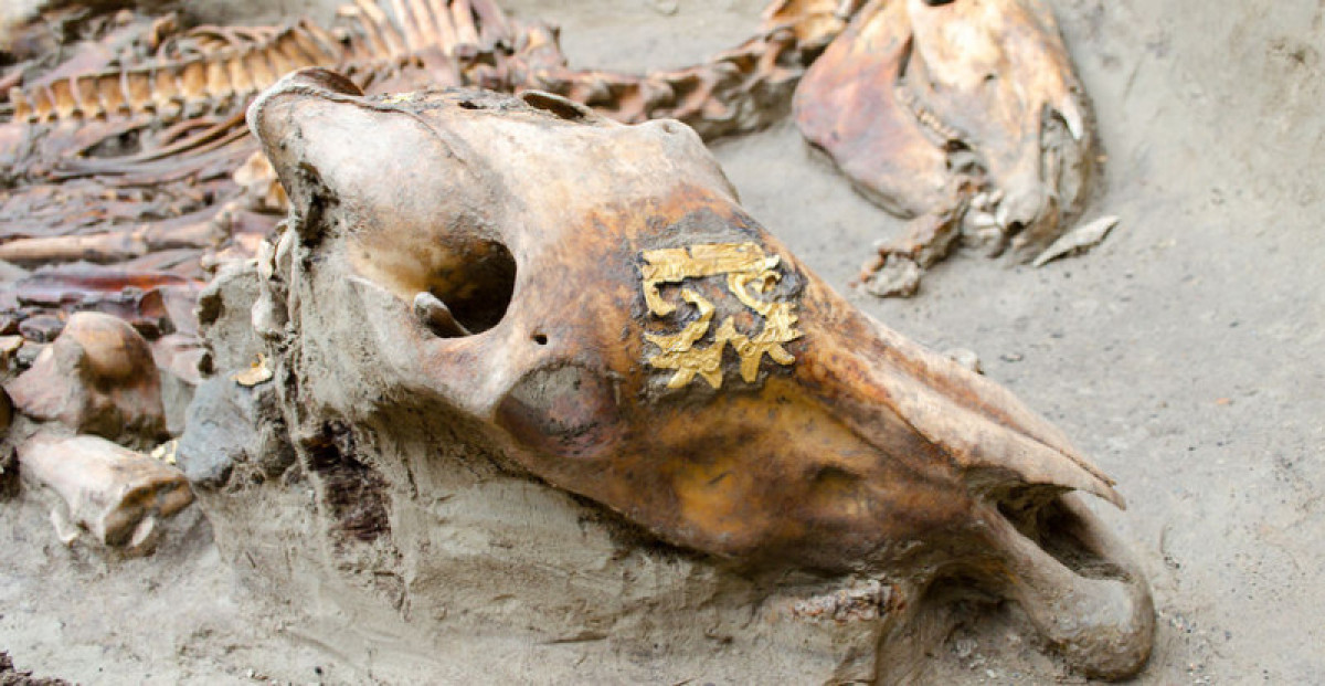 Токаев поинтересовался археологическими раскопками Берельской царицы