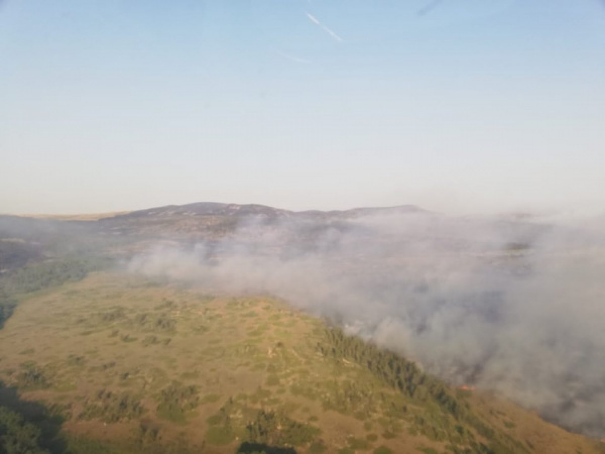 Площадь пожара в Нацпарке под Карагандой достигла 2,5 тыс. га