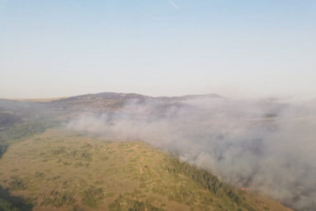 Фотография к новости: Площадь пожара в Нацпарке под Карагандой достигла 2,5 тыс. га