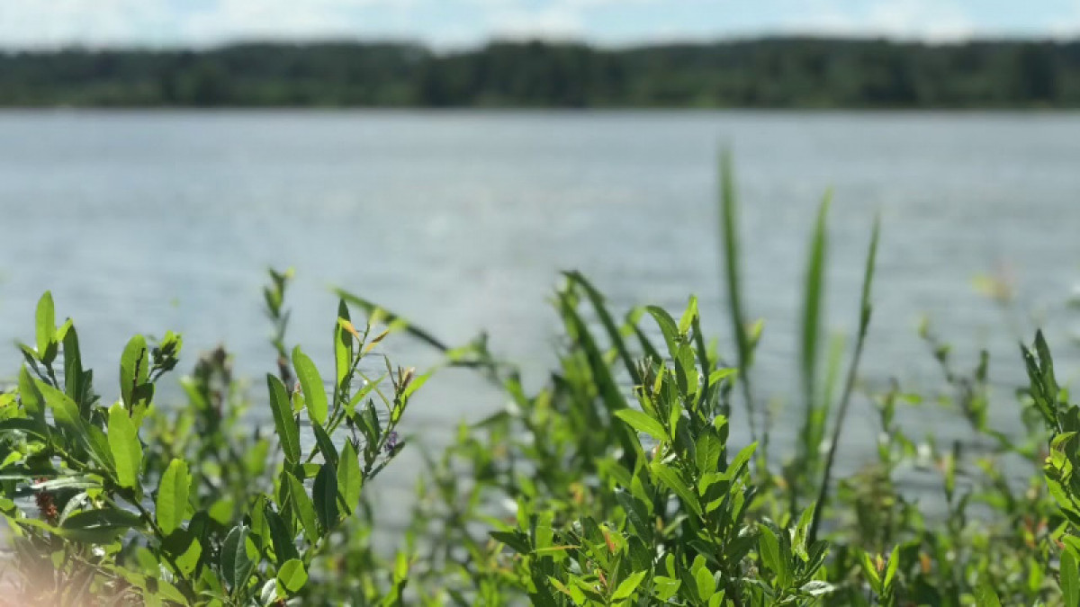 На массовую очистку водоемов позвали казахстанцев
