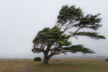 Фотография к новости: 17 августа на большей части страны сохраняется неустойчивая погода