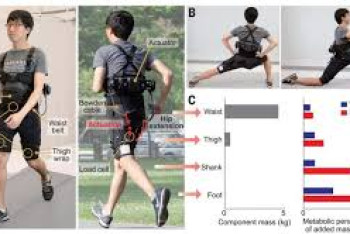 Фотография к новости: Изобретены помогающие ходить и бегать робошорты 