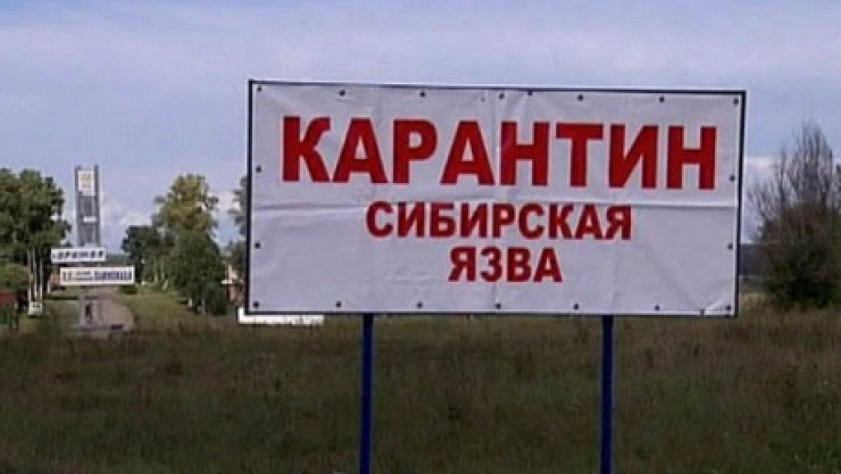 иллюстративное 