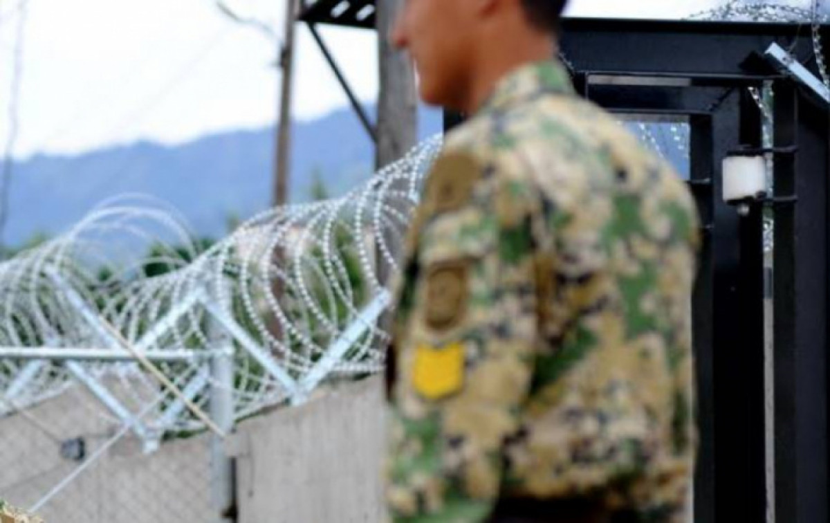 из открытых источников