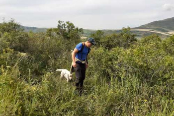 Фотография к новости: Пропавшего полуторагодовалого ребенка ищут в Восточном Казахстане