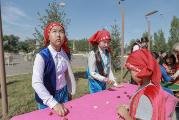 Фотография к новости: В детсадах и школах Казахстана предложили развивать национальные игры  