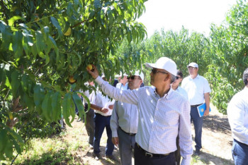 Фотография к новости: В Мангистау завезут 5000 коров уникальной породы