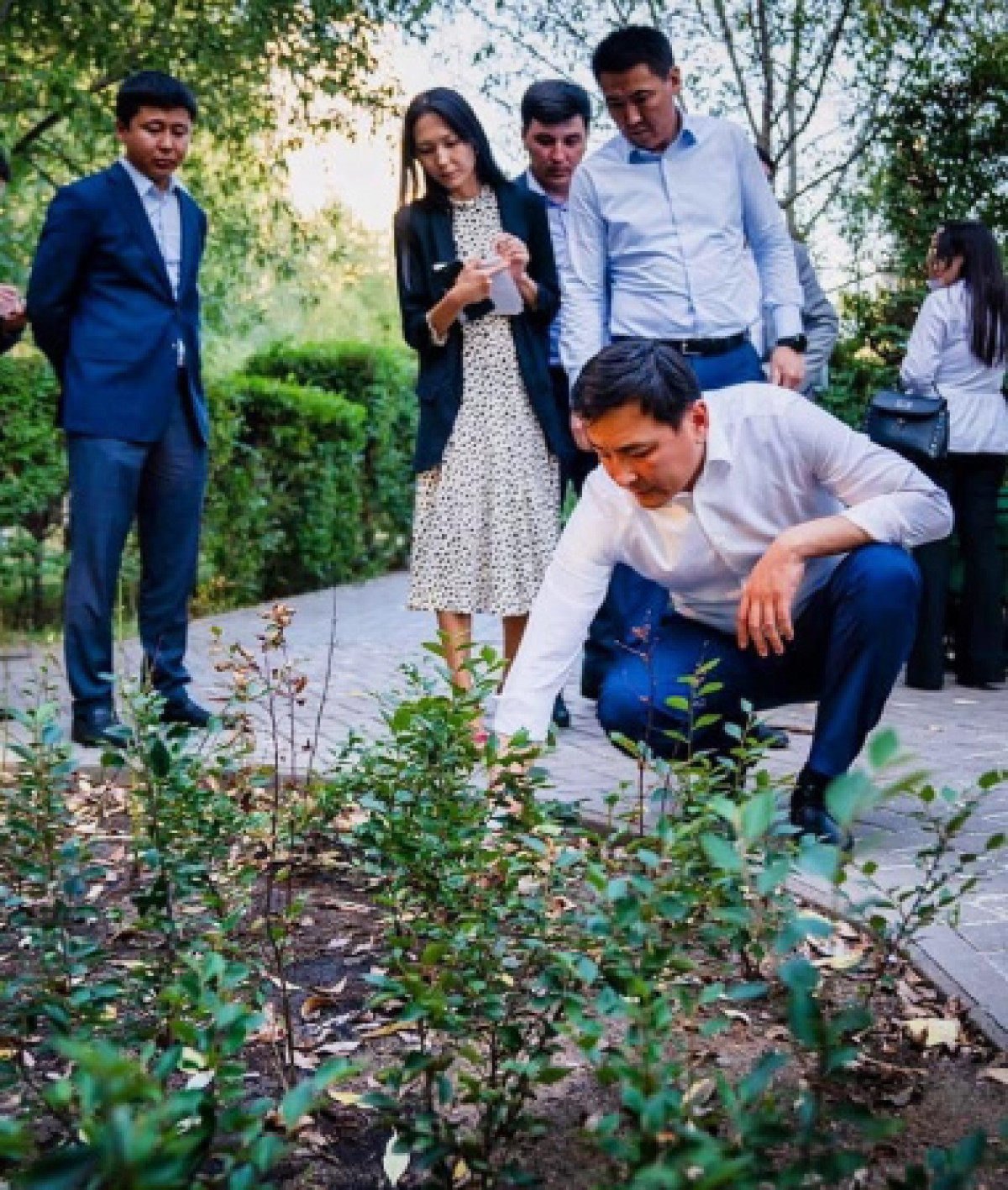 Деревья впали в спячку — Кульгинов проверил парки