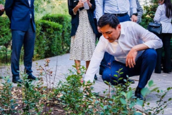 Фотография к новости: Деревья впали в спячку — Кульгинов проверил парки