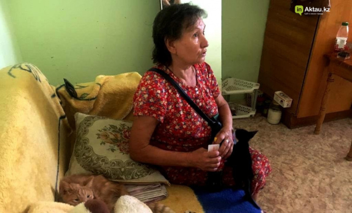 40 проживающих в квартире кошек стали причиной конфликта в Актау  