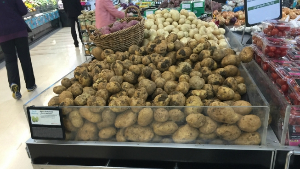 из открытых источников