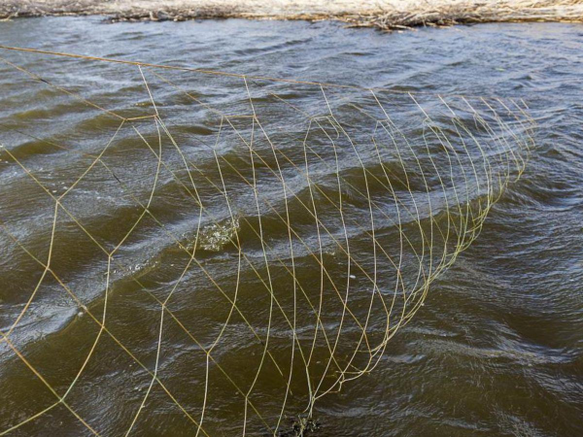 Около 400 км рыбацких сетей обнаружили в реках Казахстана