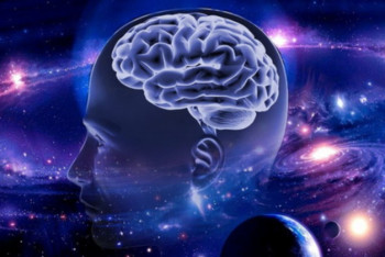 Фотография к новости: Есть ли пол у человеческого мозга, выясняют учёные