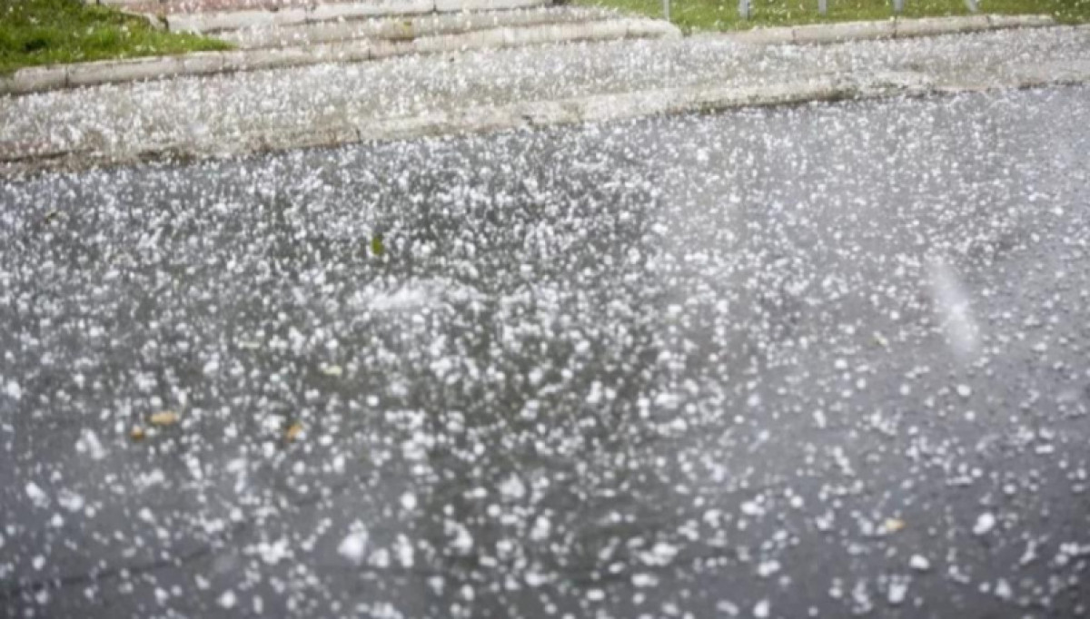 иллюстративное