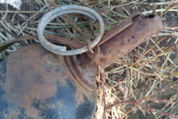 Фотография к новости: Гранату в поле обнаружил комбайнер в Павлодарской области