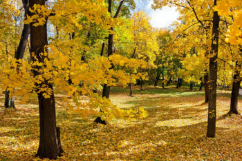 Фотография к новости: Каким будет сентябрь в Казахстане, рассказали синоптики