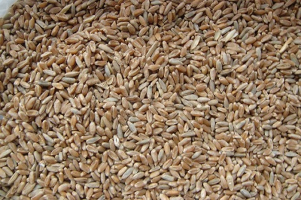 из открытых источников